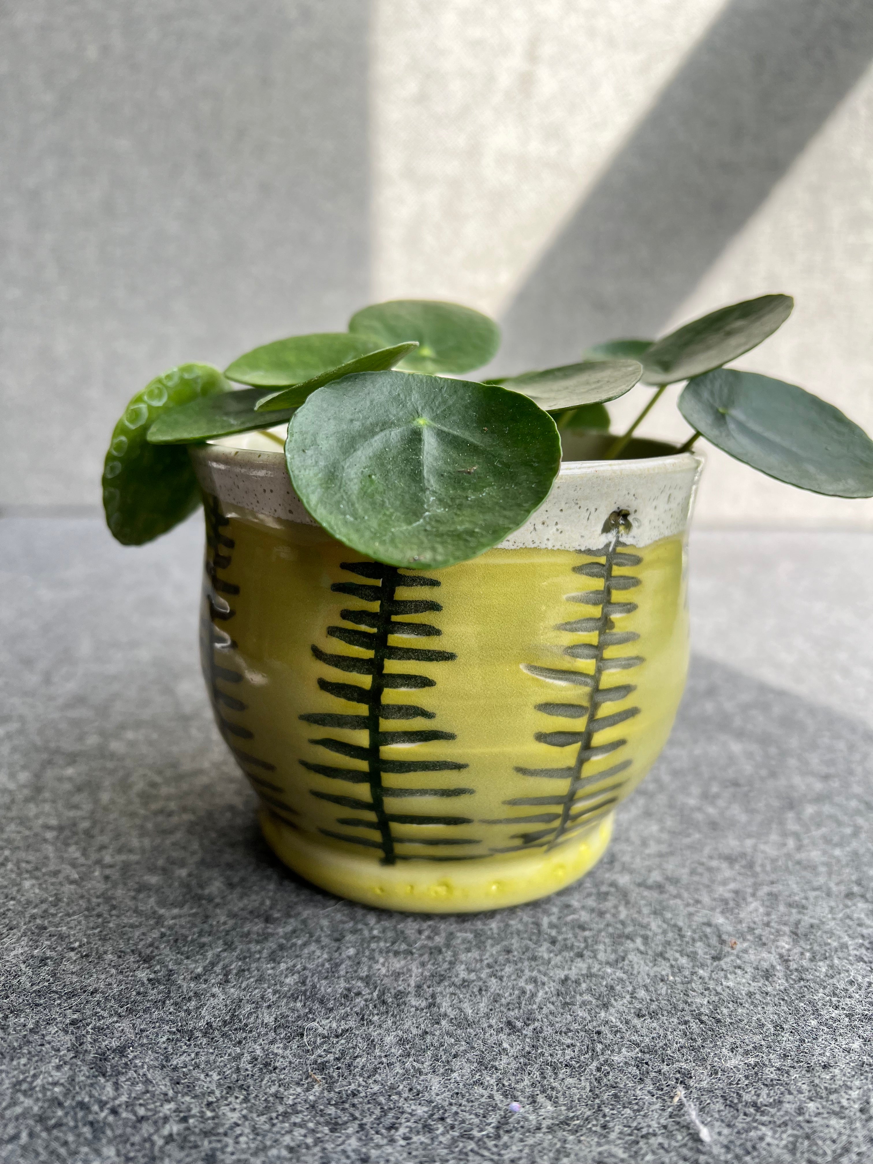 A green plant in a handmade decorative chartreuse pot with carved dark green fern leaves rests on a gray surface, exuding natural beauty and adding a touch of vibrancy to the surroundings.
