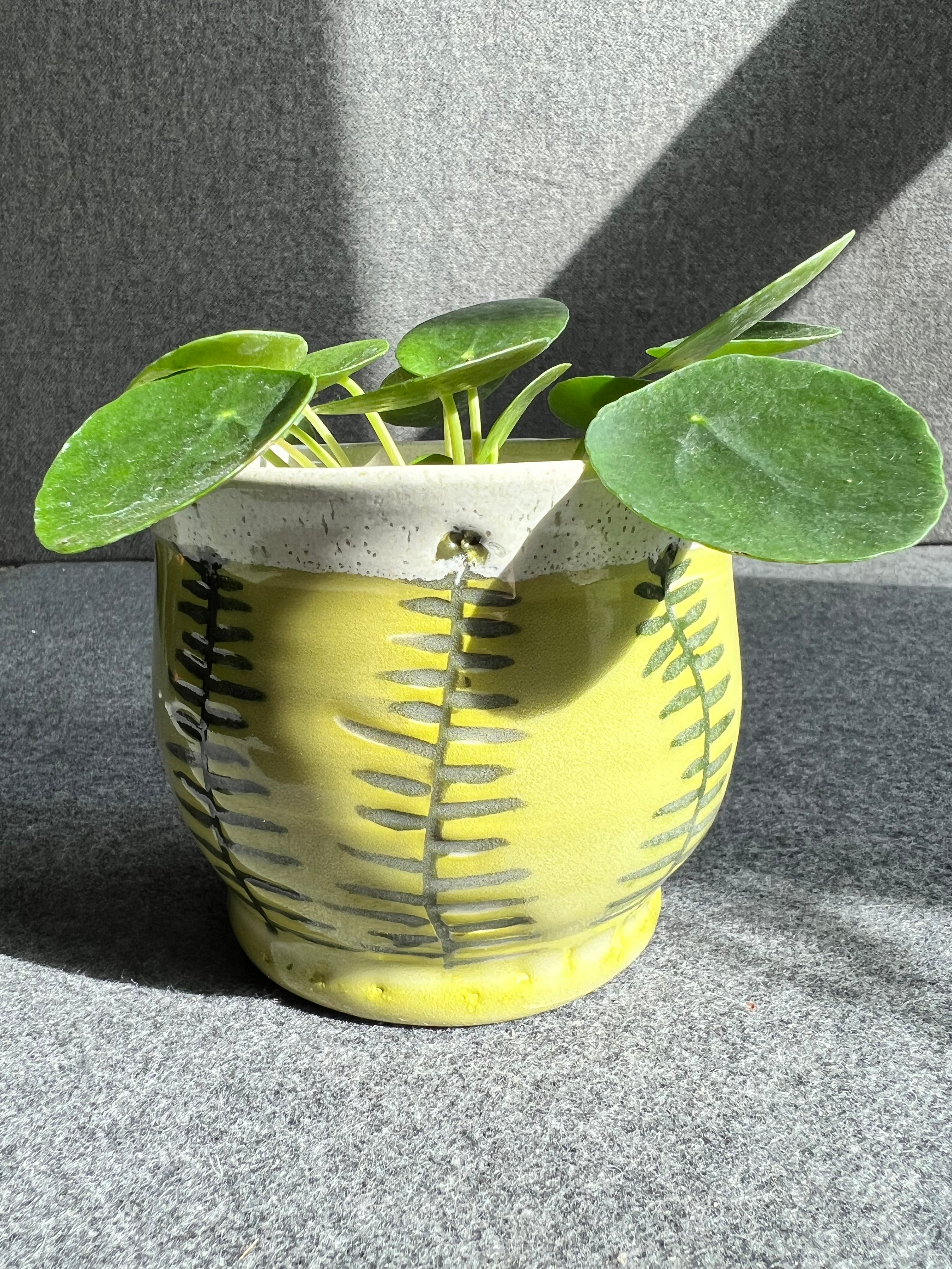 A decorative chartreuse planter with carved fern leaves and a lush green plant sit in front of a grey background.