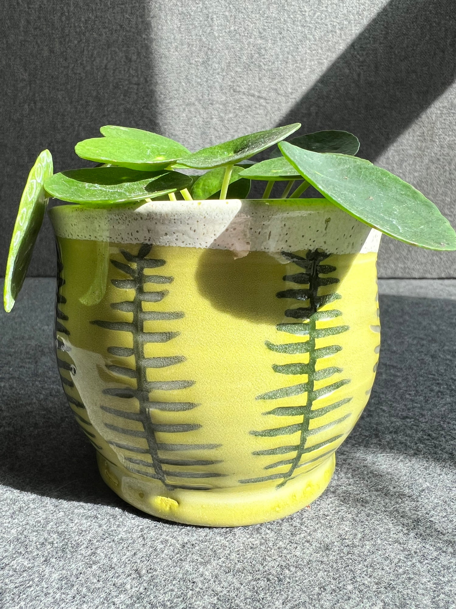 A green plant in a handmade decorative chartreuse pot with carved dark green fern leaves rests on a gray surface, exuding natural beauty and adding a touch of vibrancy to the surroundings.